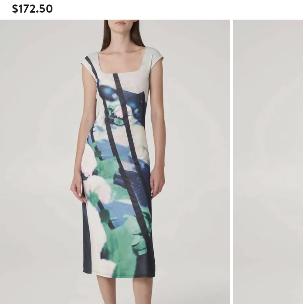 FIND ME NOW 💝 Nwt Paulie Print Midi Dress
